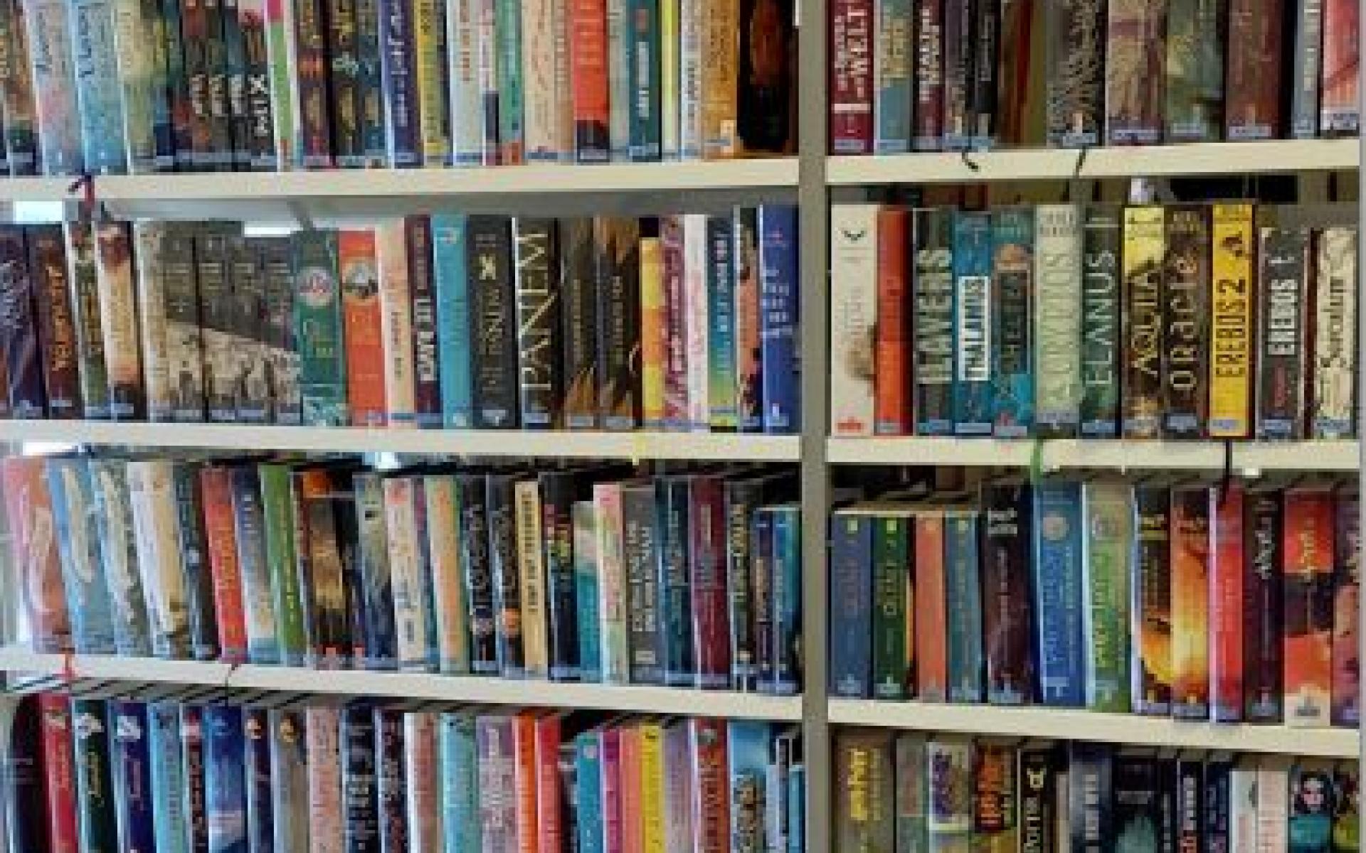 Bücherbereich