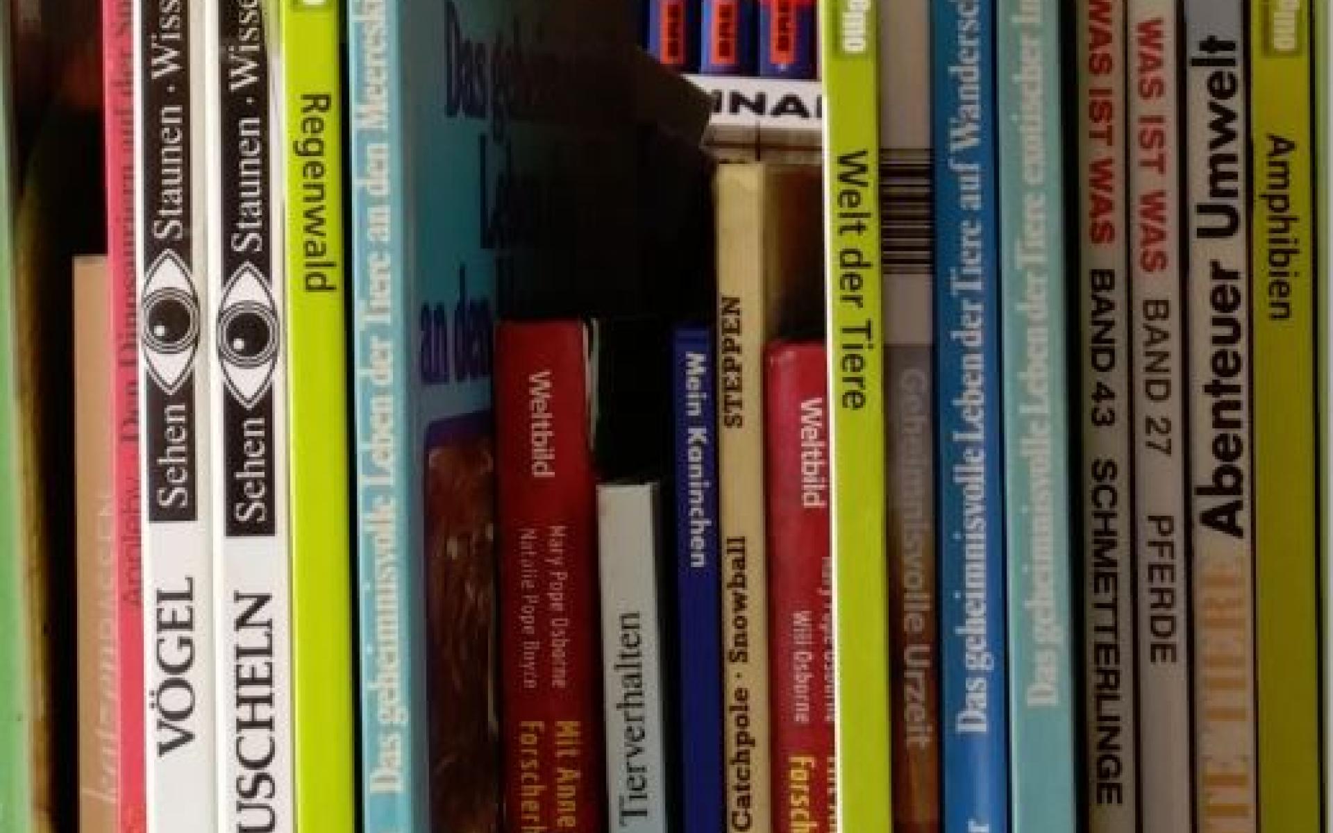 Bücher
